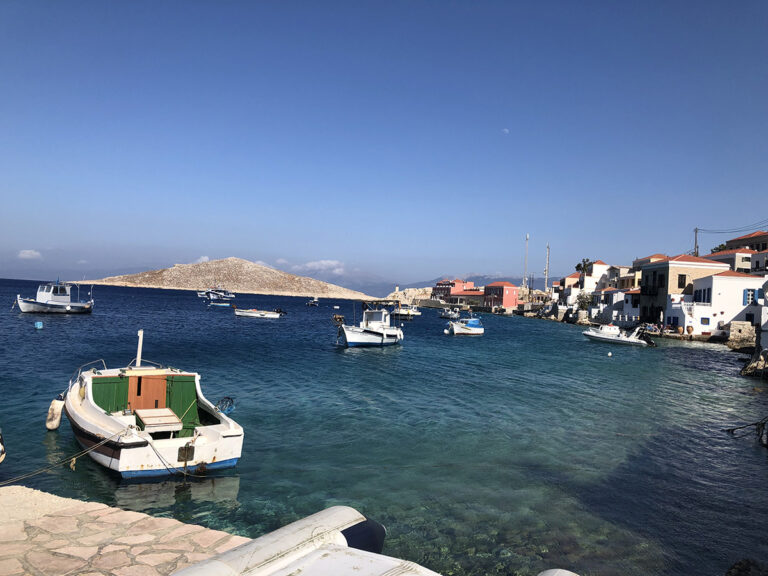 IMG 0895 768x576